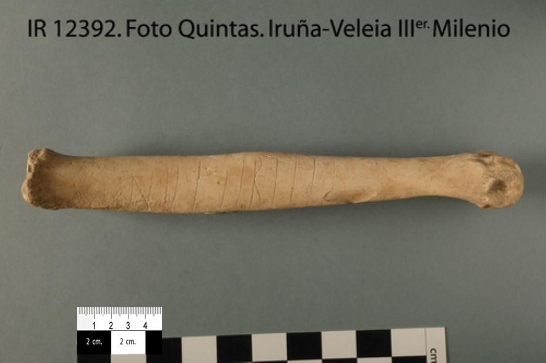 Inscripción IR 12392 con NIIFIIRTITI Metacarpo de ciervo IR 12392 con inscripción incisa atribuida a la forma NIIFIIRTITI.