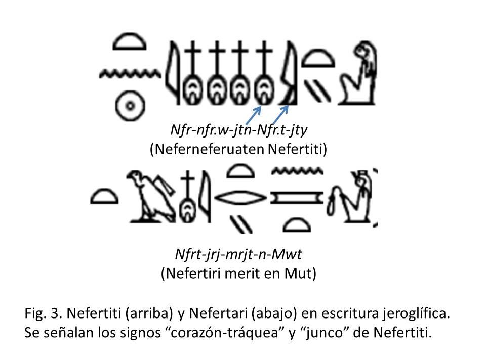 Nombres de Nefertiti y Nefertari en jeroglíficos Esquema de los nombres de Nefertiti y Nefertari en escritura jeroglífica, con transliteración y signos señalados.