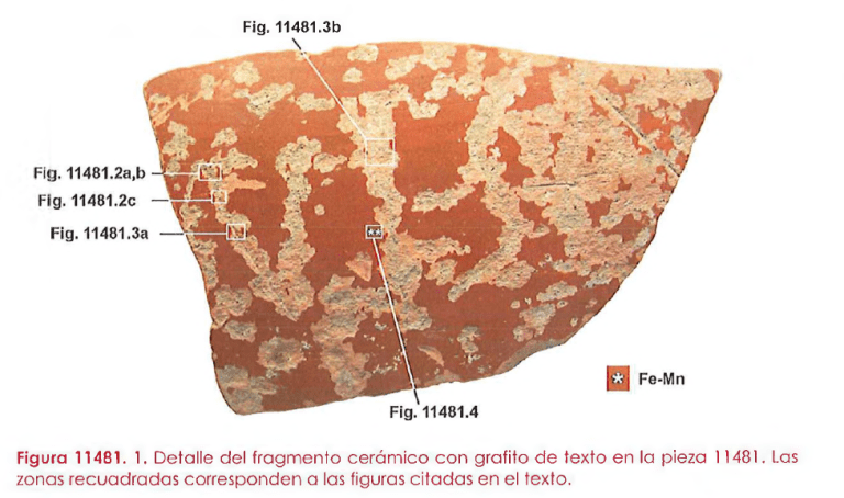 Evidencias de autenticidad: la pieza 11481