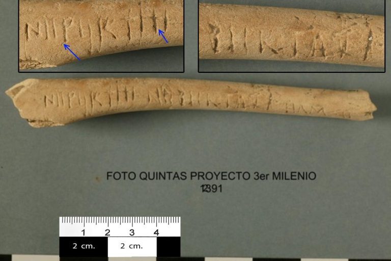 Diáfisis de tibia de corzo IR 12391 con la inscripción NIIPIIRTITI NIIPIIRTATI HAMSII y detalles ampliados.